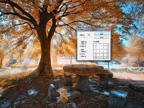 以大树照片为实例 利用PS滤镜制作太阳光效果