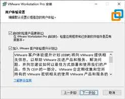VMware Workstation pro无法在Windows上运行，检查可在Windows上运行的此应用的更新版本