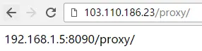 proxy_pass反向代理配置中url后面加不加/的说明