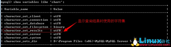 mysql数据库无法插入中文字符