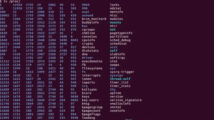 [C++]Linux之虚拟文件系统[/proc]中关于CPU/内存/网络/内核等的一些概要性说明