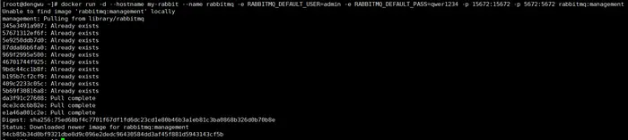（1）RabbitMQ在Docker上安装