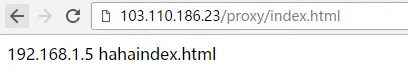 proxy_pass反向代理配置中url后面加不加/的说明