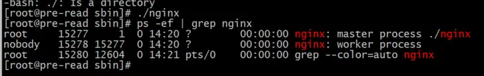 CentOS7安装nginx及nginx配置