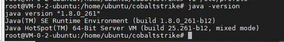 CobaltStrike3.14安装